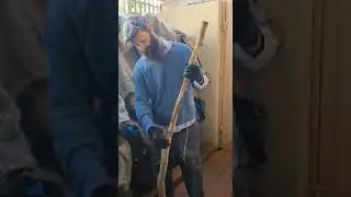 The start of a branch project