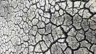 Засуха 2023 2 месяца небыло дождей Латвия.