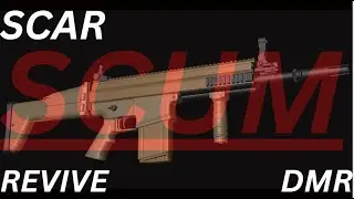 we back in scum look at the  scar dmr  really good