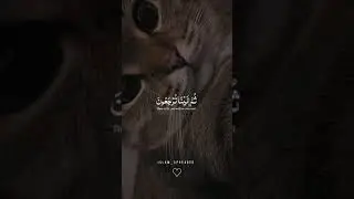 Relaxation #  #recite #recitation of the quran #islamic baten#hassantahir80 #islamic