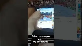 How my cat try to catch birds