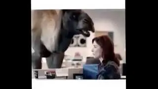 Hump Day - The Whisper Song