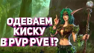 WOW SIRUS / ОДЕВАЕМ КИСКУ / КОГДА НОВЫЙ КОНТЕНТ !? / ОБЩЕНИЕ