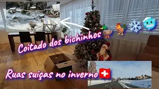 Desmontando minha àrvore de Natal / lago congelado nesse frio❄️