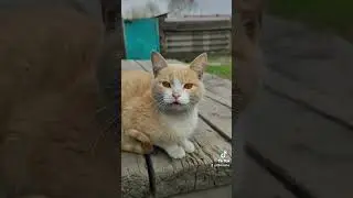 14 мая 2023 г.