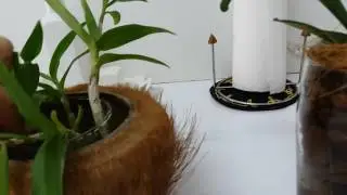Как растут наши малявочки.