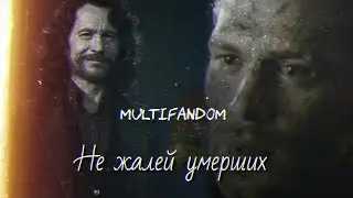 ❌Не жалей умерших || multifandom