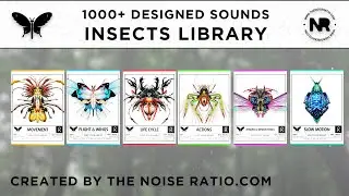 The Worlds Best Insect Sound Design Collection - COMING SOON!