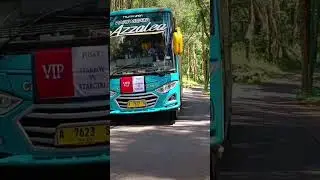 BUS MEDIUM NAIK KE PINUS MANGUNAN