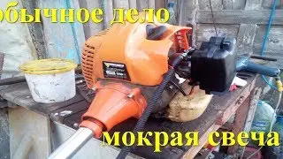floods the spark plug on a gas trimmer
