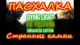 странные камни в Dying light the following PS4