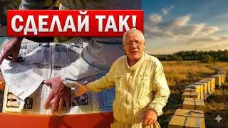 Как просто  и быстро объединить пчел