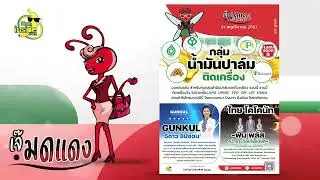 เก็บเกี่ยว By : เจ๊มดแดง