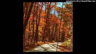 *free for profit* pierre bourne + playboi carti type beat - “autumn” (prod. unique)