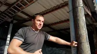 Покупаем семенной чеснок 2022 г.