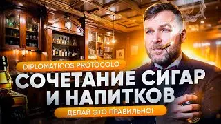 СОЧЕТАНИЕ СИГАР И НАПИТКОВ | Как правильно сочетать сигары с алкоголем | Diplomaticos Protocolo