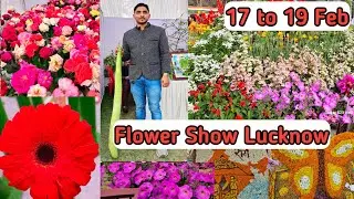 Flower Show Raj Bhavan Lucknow | पुष्प प्रदर्शनी राजभवन लखनऊ 2024 | फूल मेला लखनऊ | Raj Bhavan Mela