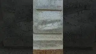 a famous violist #death #cemetery #cemeterylovers #gravemarkers #gravestone