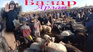 Шымбай мал базар/13-Ноябр/2022/Shimbay mal bazar/mal bazar 2022/Скотный рынок/bull/bulls