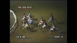 1999 Red Mile Lexington ETERNAL CAMNATION Eric Ledford Int'L Stallion Stakes