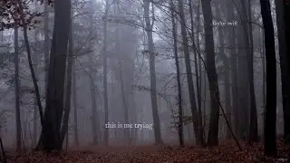 Taylor Swift - this is me trying (Lyric Video)