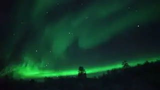 AtmaTrip/Север/11.12.2022