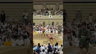 Sumo wrestling is underrated🇯🇵 *japan must do* #sumo #sumowrestling #japantravel #japan