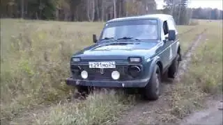 Таёжные хроники. В поисках глухаря