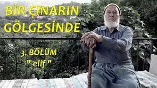 Bir Çınarın Gölgesinde 3. Bölüm 