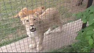 Парк 