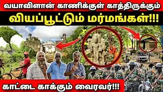 🛑 வயாவிளான் காட்டுக்குள் காத்திருக்கும் பல மர்மங்கள்!!!