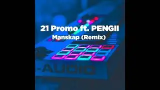 21 Promo ft. Pengi - Manskap (Remix)