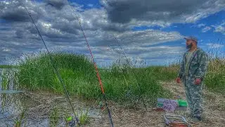 Сазаны не Давали Нам Скучать.Желаю Такую Рыбалку Каждому