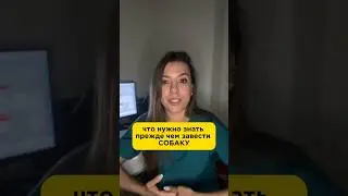 Сколько вы тратите на питомца в месяц? #ветеринар #лечениеживотных #домашниеживотные