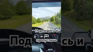 Как поменялся дальнобой в 2024 и все важные события лета #truckerinscandinavia