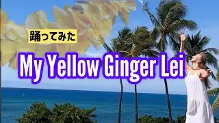 踊ってみた　My Yellow Ginger Lei / Choreography by Mana