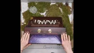 Элитный шрути из Великобритании купить в Минске