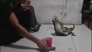 Panji menangis melihat vidio ini🤣🤣