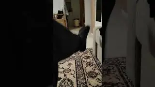просыпаться мафия)