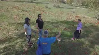 סיור פריחה בדרום אדום