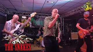 ▲Snakes - Live at Barrio's - (May 2024)