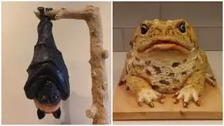 Вкусная ПОДБОРКА крутых ИДЕЙ! НЕОБЫЧНЫЕ ТОРТЫ! Amazing CAKES COMPILATION!