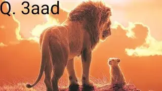 2dii Aar(libaax) ee talinayay Q. 3aad