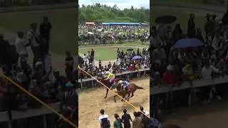 DETIK DETIK KUDA PACUAN MASUK FINISH SELISIH HIDUNG #kudapacu #horse #horseracing #viral
