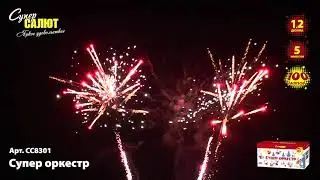 СС8301
