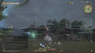 FINAL FANTASY XIV I had to buy the fat cat