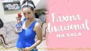 Faxina divacional de final de ano na sala | Prii Chiprauski