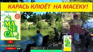 ХЕРАБУНА - КАРАСЬ КЛЮЁТ НА МАСЕКУ! へら