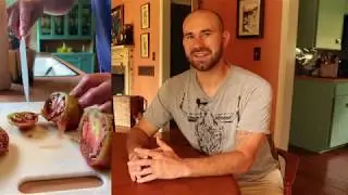 Tomato Trial Results! / Colorful Gardener