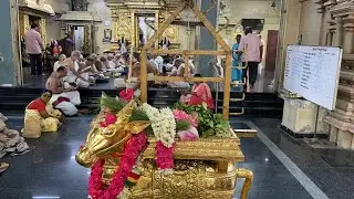 Pradosham live on 15-6-23 Thursday
